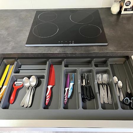 Appartement F5 Maison De Maitre Mulhouse Kültér fotó