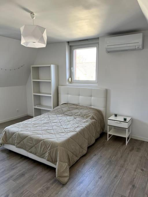 Appartement F5 Maison De Maitre Mulhouse Kültér fotó