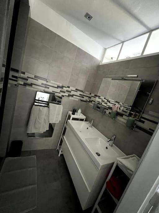 Appartement F5 Maison De Maitre Mulhouse Kültér fotó