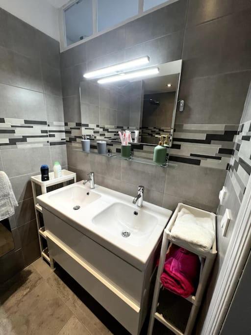 Appartement F5 Maison De Maitre Mulhouse Kültér fotó