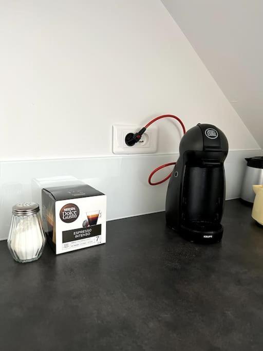 Appartement F5 Maison De Maitre Mulhouse Kültér fotó