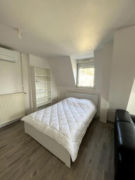 Appartement F5 Maison De Maitre Mulhouse Kültér fotó