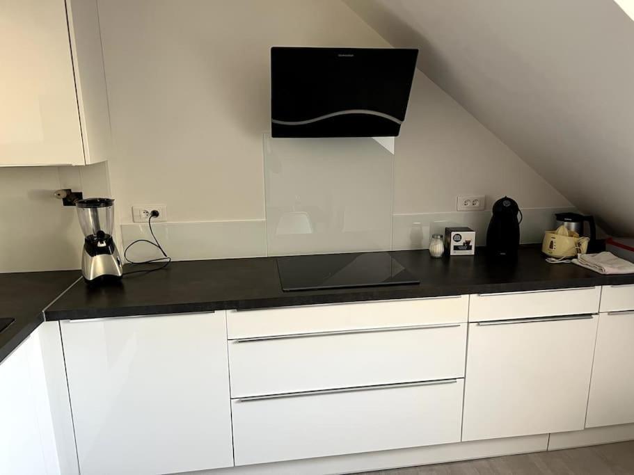 Appartement F5 Maison De Maitre Mulhouse Kültér fotó