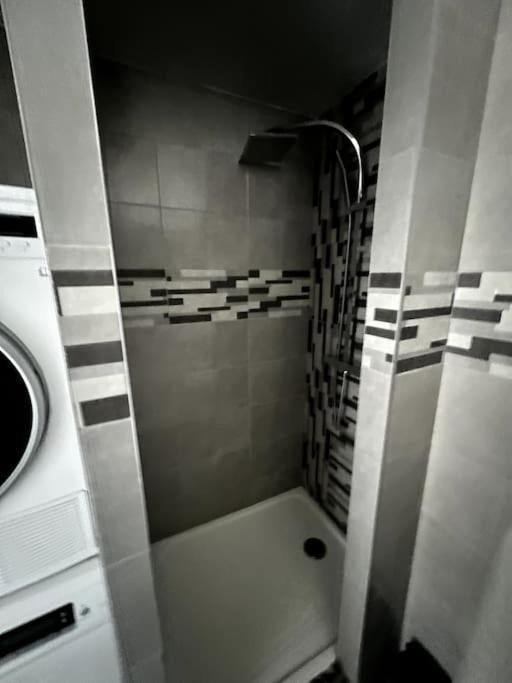 Appartement F5 Maison De Maitre Mulhouse Kültér fotó
