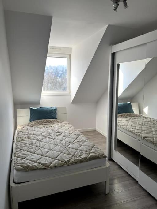 Appartement F5 Maison De Maitre Mulhouse Kültér fotó