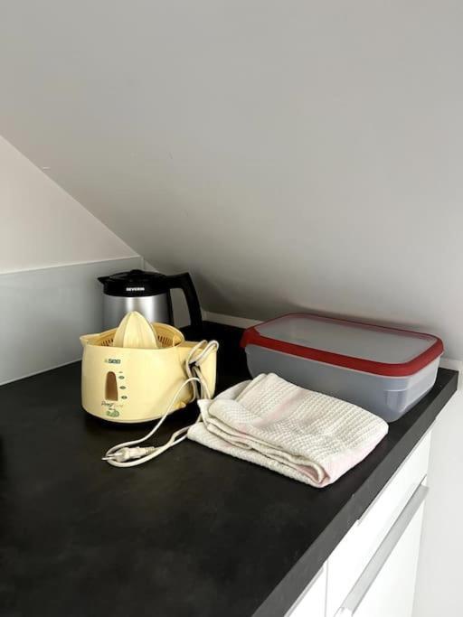 Appartement F5 Maison De Maitre Mulhouse Kültér fotó
