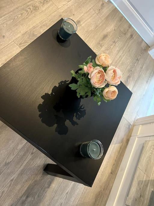 Appartement F5 Maison De Maitre Mulhouse Kültér fotó