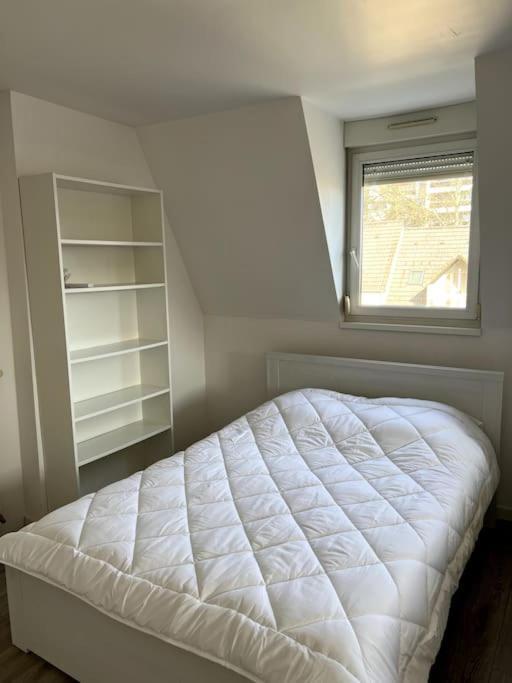 Appartement F5 Maison De Maitre Mulhouse Kültér fotó