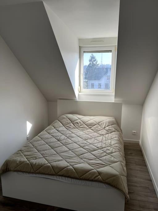 Appartement F5 Maison De Maitre Mulhouse Kültér fotó