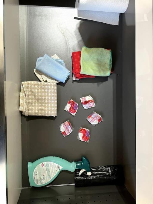 Appartement F5 Maison De Maitre Mulhouse Kültér fotó